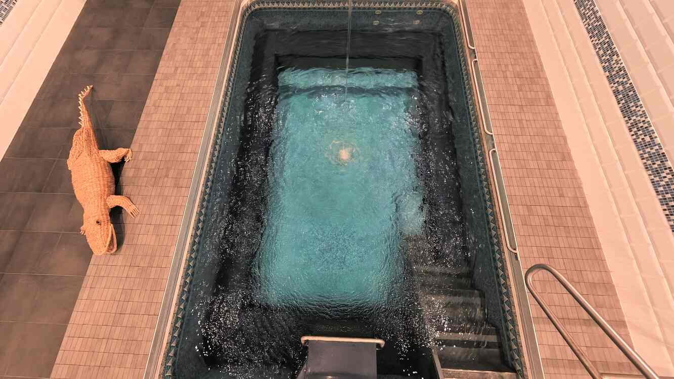 Indoor endless pool and resistance swim system on the lower level with tiled surround and steps