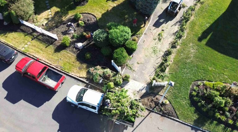 The Setauket House Remodel: Replacing a Failing Leyland Cypress Line
