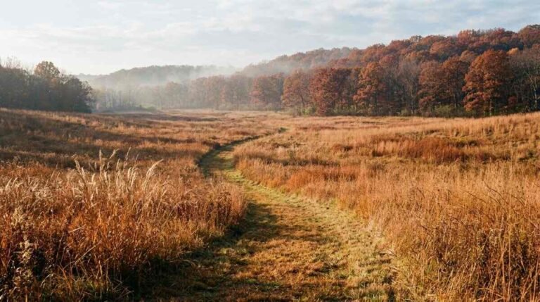 Avalon Nature Preserve in Stony Brook: Trails and Hours