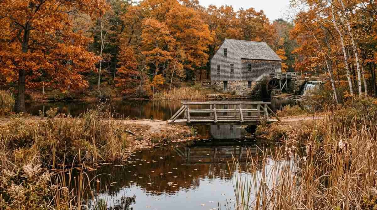 Mill pond near the Setauket Village Green in late October.